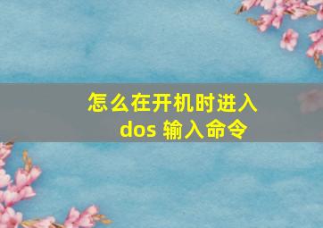 怎么在开机时进入dos 输入命令